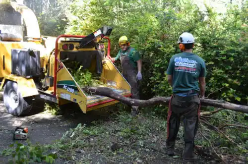tree services Sherwood Manor